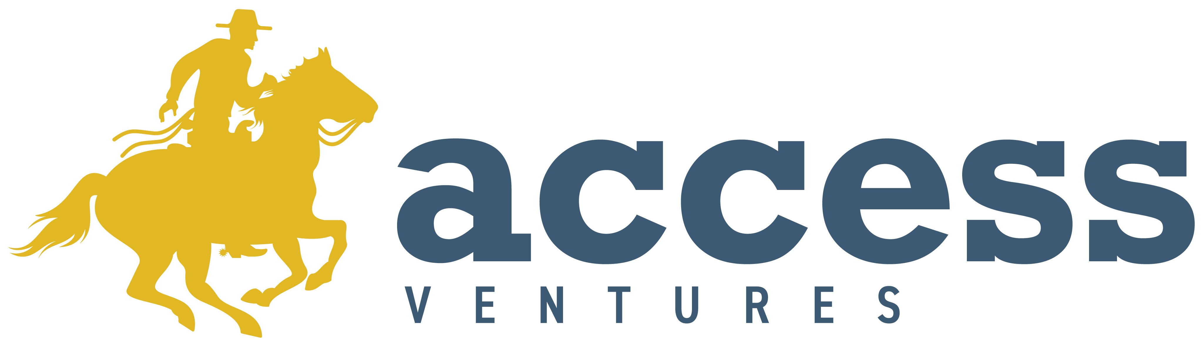 ACCESS Ventures RGB_Artboard 1 ACCESS Ventures RGB_Artboard 1